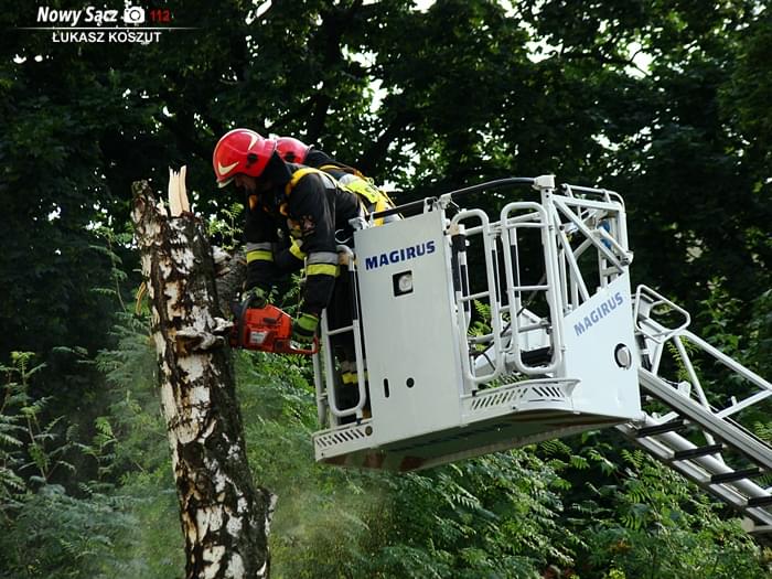 gorzkowska_tytulowa02